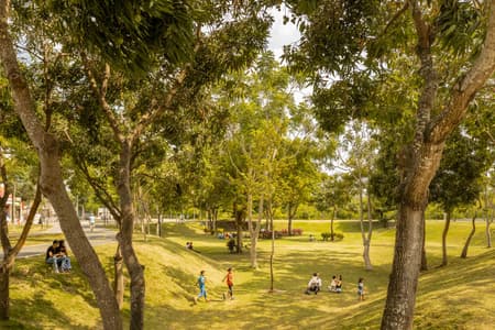 Las Vegas Park